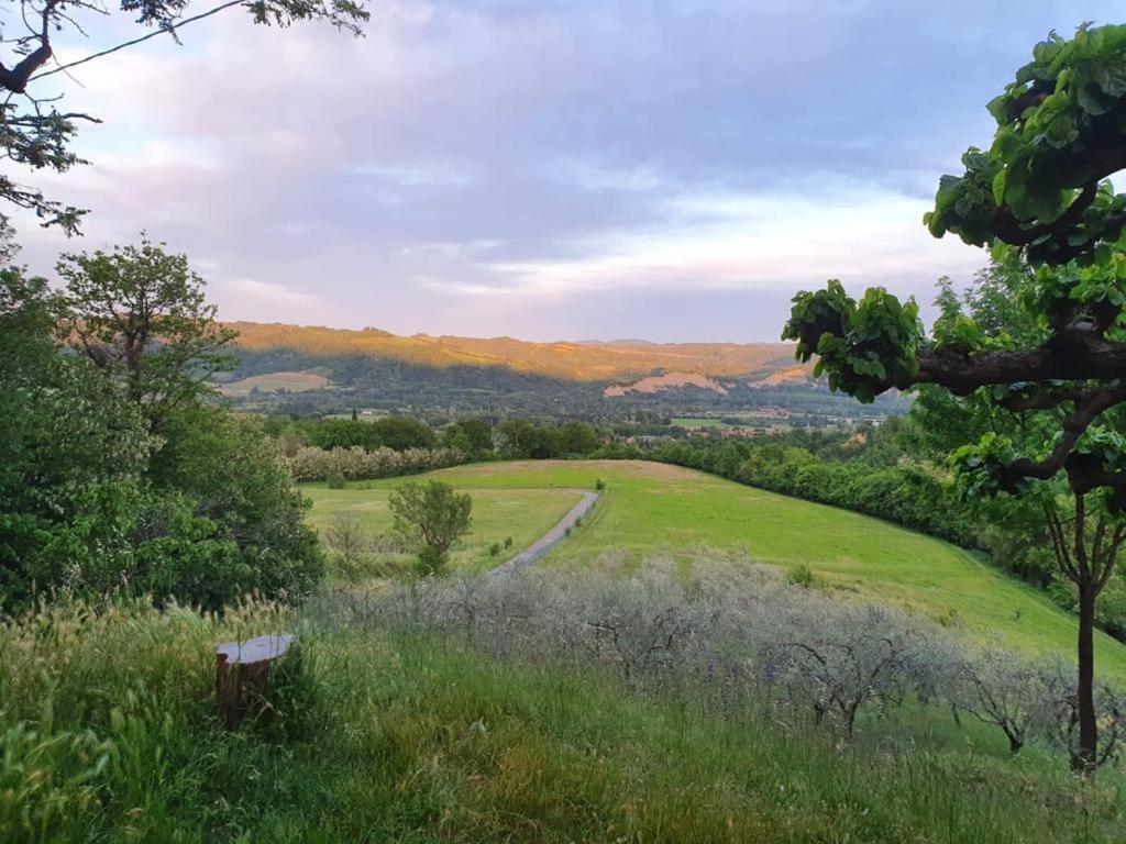 Agriturismo Rio Verde Sasso Marconi Buitenkant foto