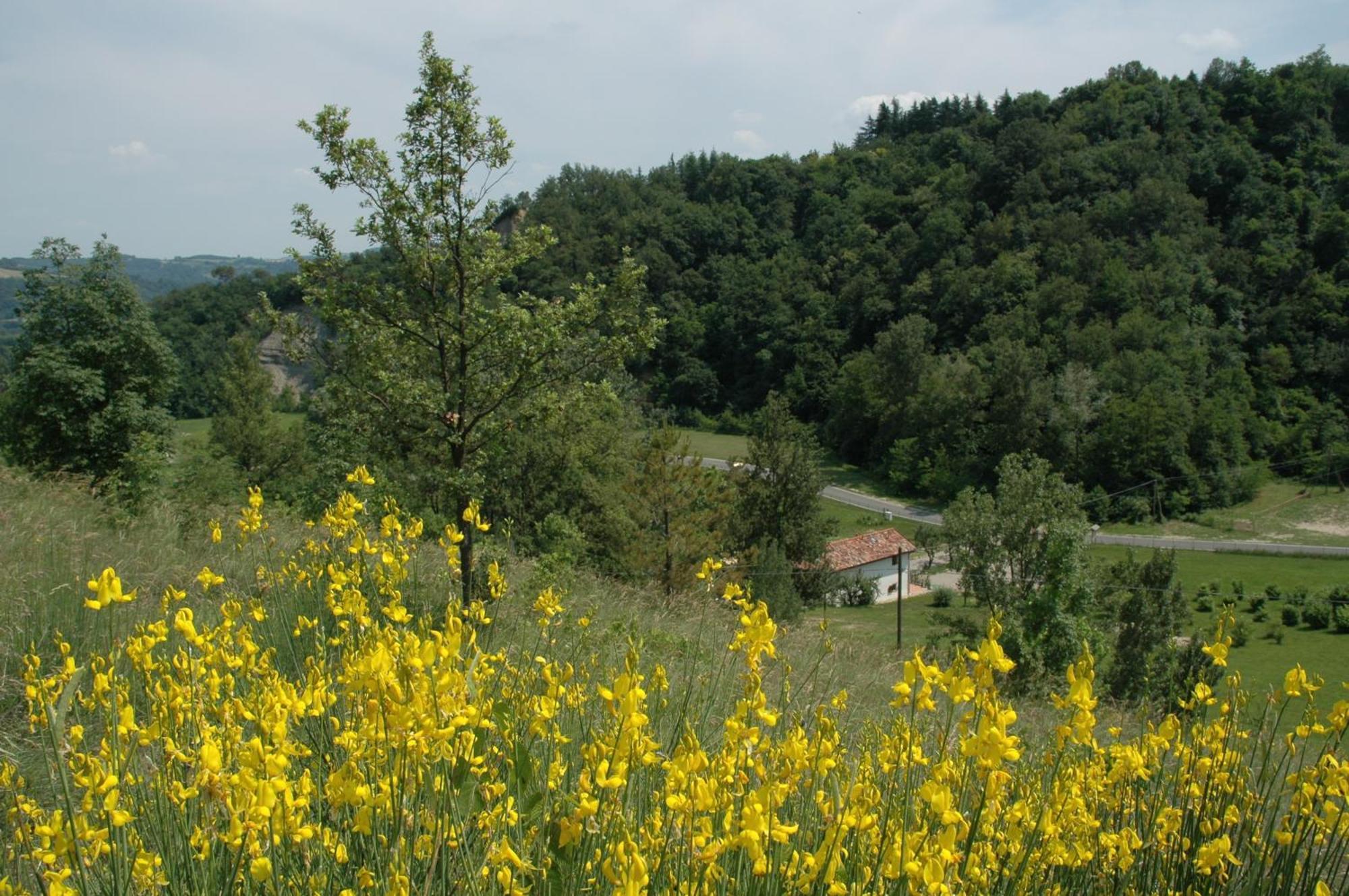 Agriturismo Rio Verde Sasso Marconi Buitenkant foto