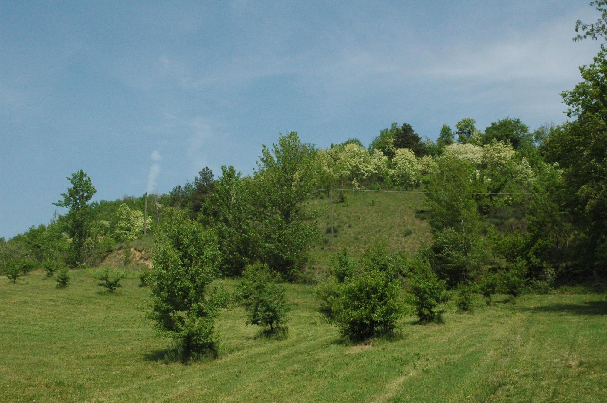 Agriturismo Rio Verde Sasso Marconi Buitenkant foto